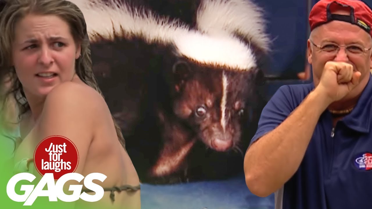 Best Skunk Pranks - Best of Just For Laughs Gags