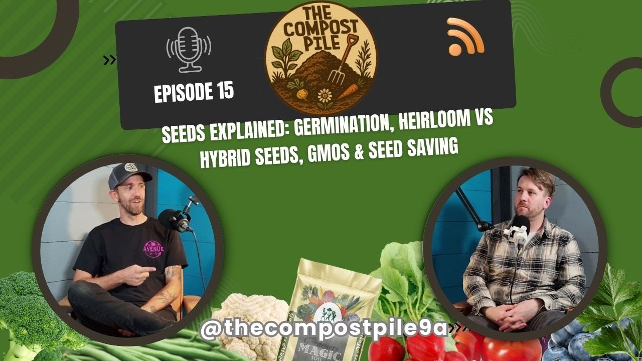 Seeds Explained: Germination, Heirloom vs Hybrid Seeds, GMOs & Seed Saving
