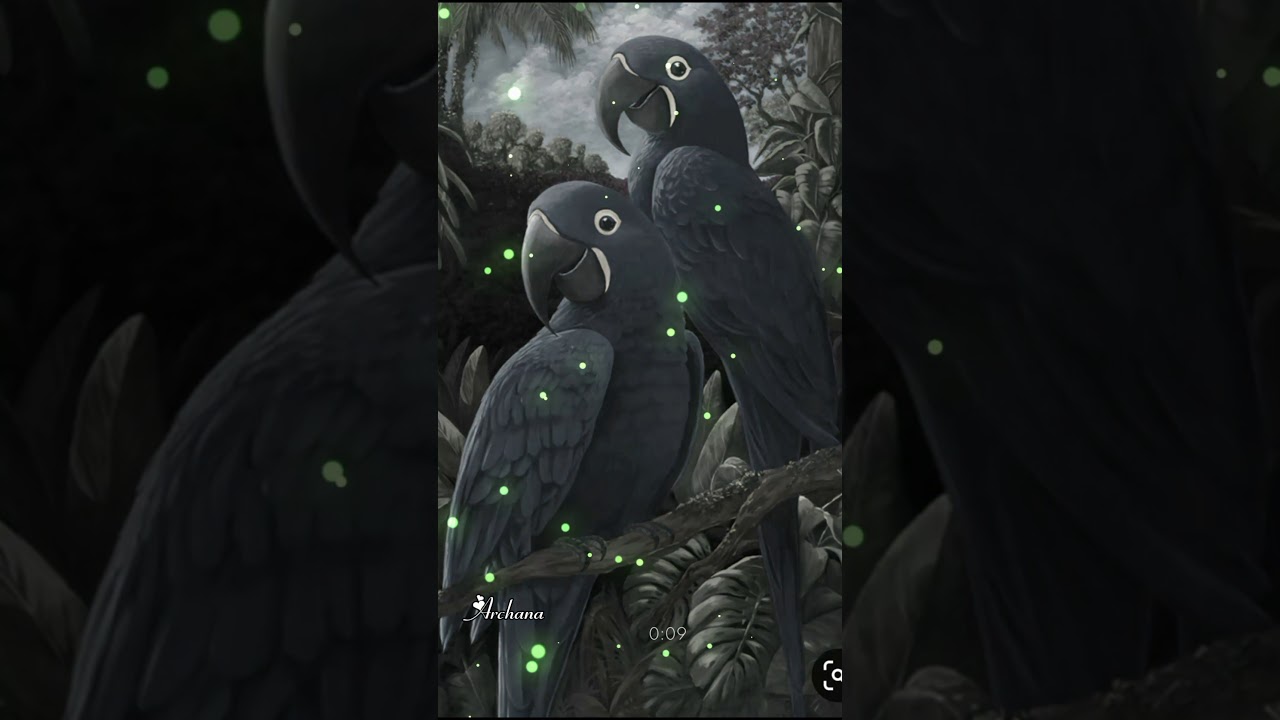 Mothalla Un Kanna thodachiko yaar azhuthalum parava illa / whatsapp status song full screen male ver