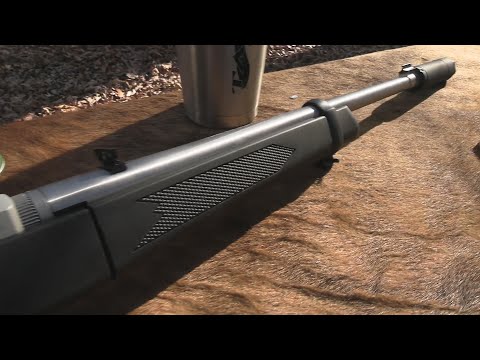 Ruger 10-22 Take-Down Suppressed