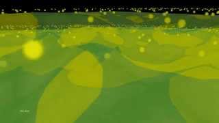 Volumetric lights