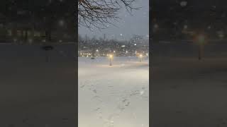 Snowy Serenity: A Silent Symphony of Winter Bliss in Gothenburg, Sweden !!! #coldweather #snowfall