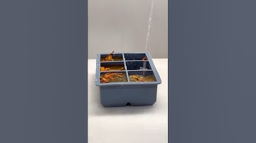 Refilling my ice trays pt. 2 #asmr #refill #ice #aesthetic #kitchen #fall #restock #icecube #short