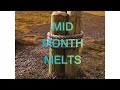 MID MONTH MELTS: January ***RANT AT END***