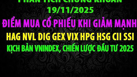 Điểm Mua Cổ Phiếu NVL VIX GEX VND SSI NKG HPG HSG VPB VIB PVD  DIG CEO CII DGC HAG...KB VNINDEX