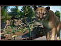 Cougar Habitat | Planet Zoo North America Animal Pack | Speed Build