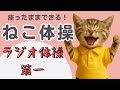 【ねこ体操】〜ラジオ体操第一〜 子どもや高齢者にオススメ!