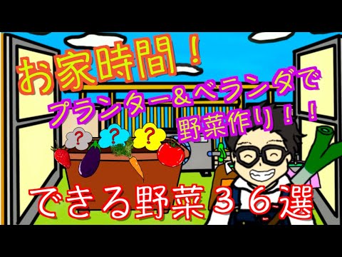 ベランダガーデニングで失敗しない！プランターの正しい選び方5つ