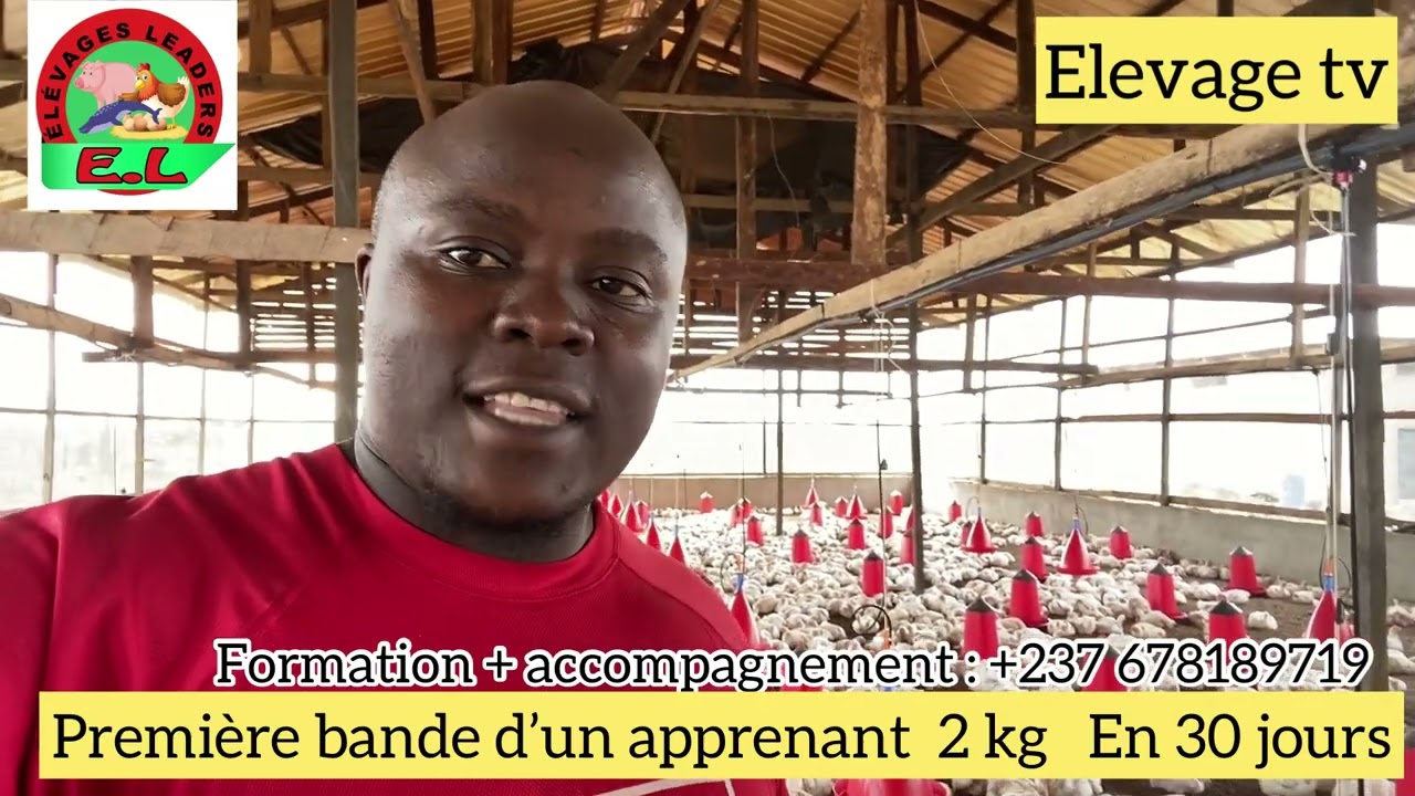 𝐩𝐨𝐮𝐥𝐞𝐭 𝐝𝐞 𝐜𝐡𝐚𝐢𝐫 𝟐𝐤𝐠 𝐞𝐧 𝟑𝟎 𝐣𝐨𝐮𝐫𝐬 résultat de la première bande d'un apprenant de la diaspora