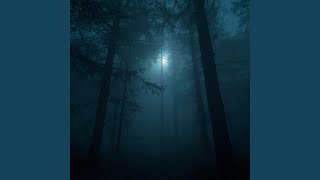 Silver Night - Theta Field 4.4 Hz - Sleep Recovery (Soft Mist)