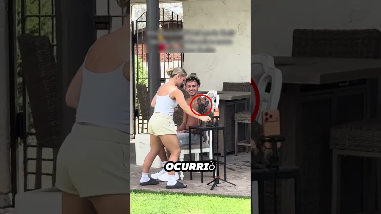 Su perro entendió perfectamente la tendencia viral 😂🐾 🐶#shorts