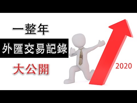 一整年外匯交易記錄大公開（2020）