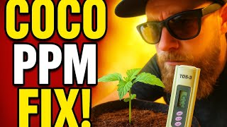 “Cannabis Grow Day 3 GDP: Grow Room Chaos”How to grow | Stealth Grow tent Seed to harvest series one
