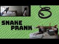 SNAKE PRANK ON PREGNANT FIANCE  **HILARIOUS** | #TheOviaTribe