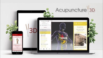 Introducing Acupuncture3D software | Chân Ly