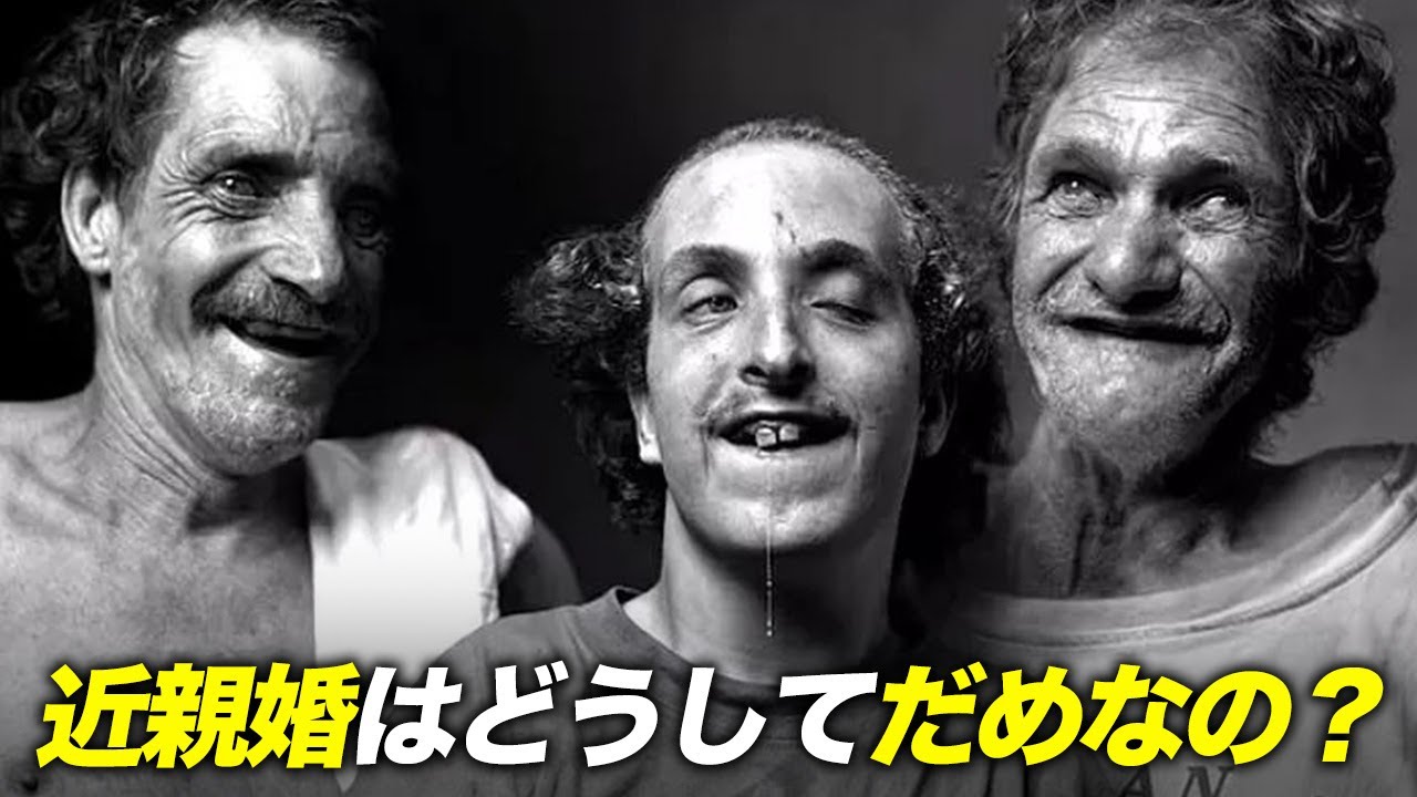 近親婚をすると子供に障害が生まれる確率が上がるのはなぜ? - YouTube