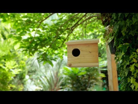 Cómo hacer una casita para pájaros - Bricomanía