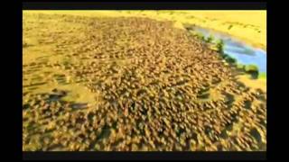 Planet Earth music.avi