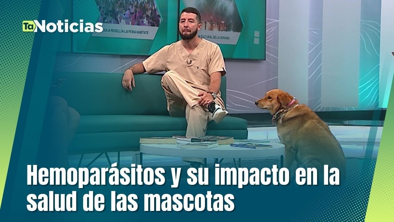 En Consejo de Redacción, Felipe Toro Parra, médico veterinario