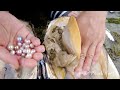 How to get pearls? Pearl-pickers look for shells, open mussels and take out green pearls