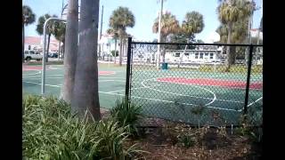 № 478 США Библиотека в городке Clearwater Beach Fl № 478 США Библиотека в городке Clearwater Beach Fl