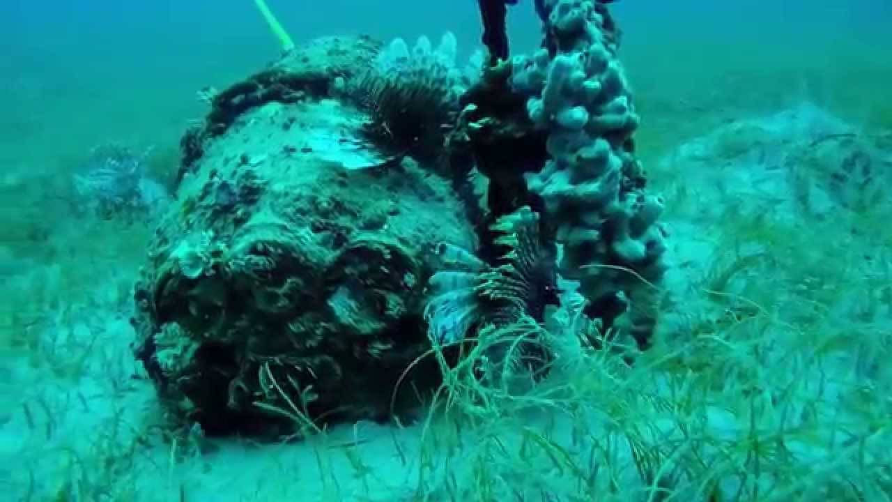 Lionfish removal Cooper Island, BVI