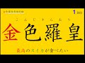 最高のスイカが食べたい！　金色羅皇　こんじきらおう　栽培記録　１話目　【再UP】