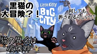 【LittleKittyBigCity】黒猫が黒猫を使って世界を破壊する！？【 VTuber　黒猫龍星 】　＃LittleKittyBigCity　＃ケモノVTuber