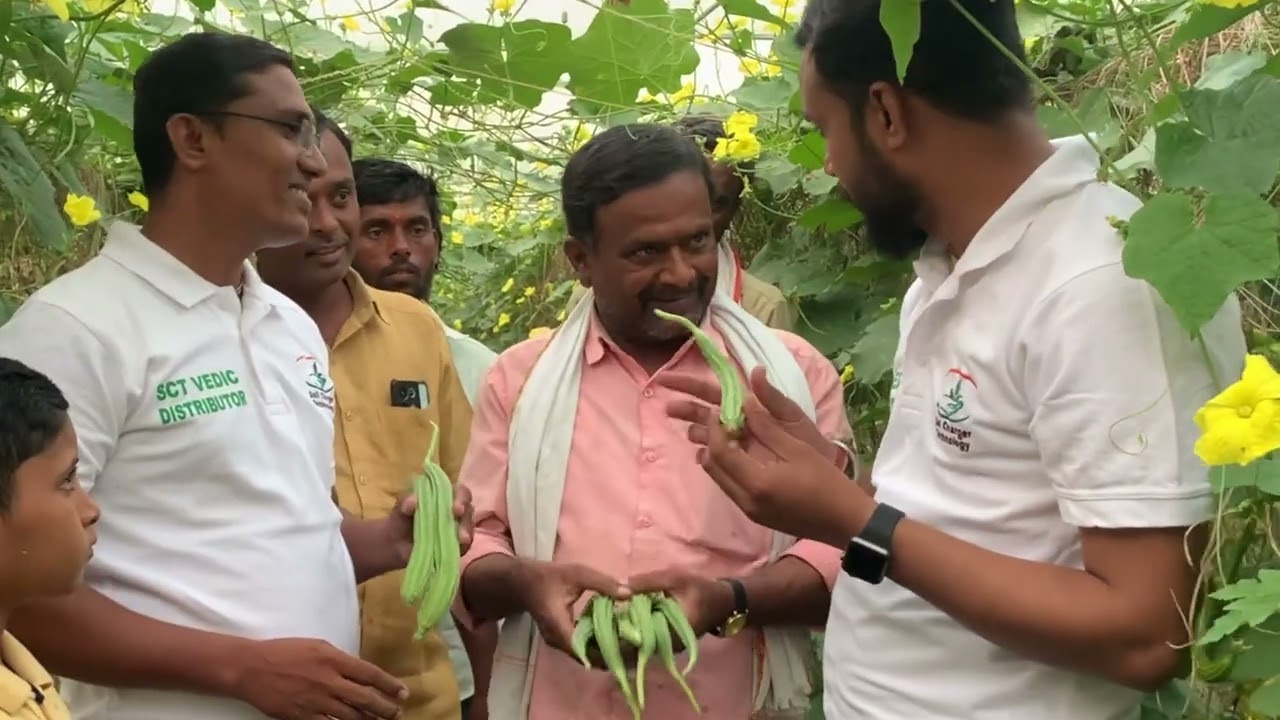 SCTवैदिक दोडका दररोज 14 हजार,माती,शेती,शेतकरी व ग्राहकांना तारून दिवाळी आनंदाची करणारे एकमेव राम सरच