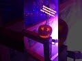 Halloween Gruselgarten , Spreewaldschenke Lübbenau #spreewald #grusel #garten #halloween #fyp