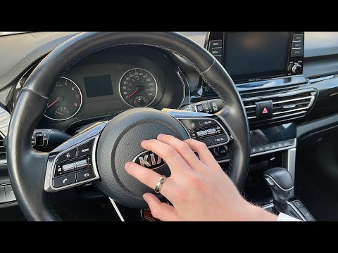 ASMR Tapping Around the Car (Inside & Outside) 🚗