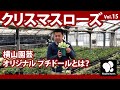 クリスマスローズ(15)横山園芸オリジナル プチドールのご紹介  ◆横山園芸 公式◆ 【2022】