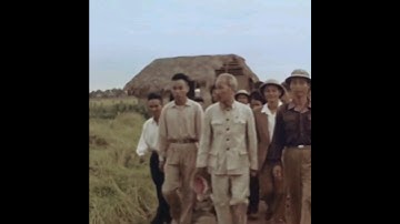 Bác Hồ và những công việc của người nông dân #bacho