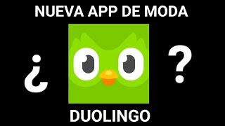 ¿ Cómo funciona la app del búho ? screenshot 5