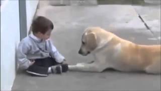 [RAW/FULL] Dog Determined To Make Friends With Boy With Down Syndrome