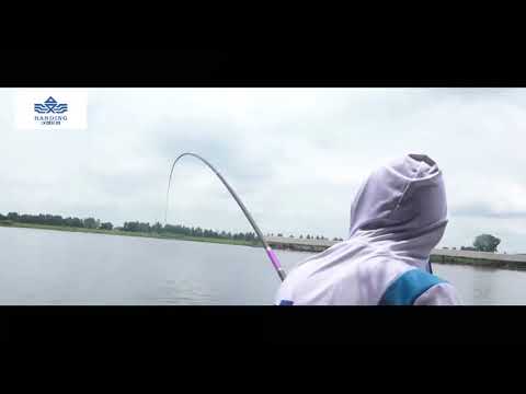 Cần câu Handing Thanh Phong Đỉnh - Vietnam Fishing