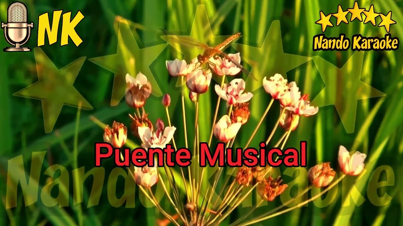 ADIÓS AMOR TE VAS - Grupo Ladrón Karaoke