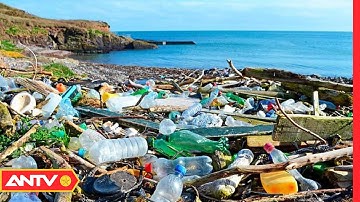 Rác Thải Nhựa - Hiểm Họa Khôn Lường | An Toàn Sống | ANTV