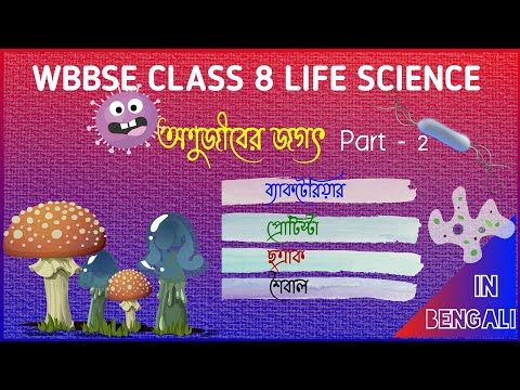 WBBSE, Class 8 Life Science, Chapter no.7 : World of Microorganism (অণুজীবের জগৎ) part: 2 in Bengali