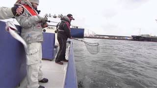 #006 横浜新山下　ボートシーバス（2）
