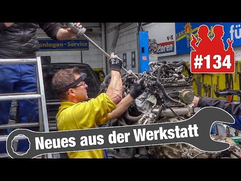 Holgers Kampf gegen die Glühkerze im Ford Transit! | Audi TT mit Lichtproblemen