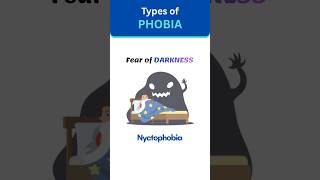 Different Types Of Phobias Show How Fear Can Take Many Forms From Animals To Heights