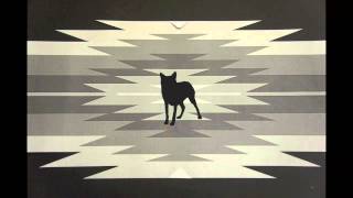 Mexican Wolves: Stop Motion Test Pattern 1