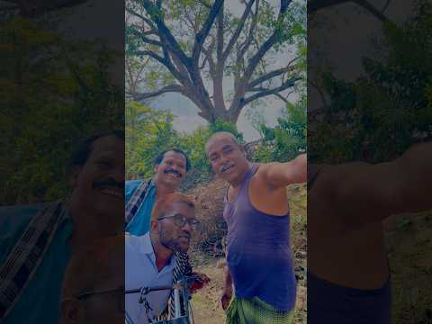 😂फर्जी दमांद बाबू 😂!!CG COMEDY!! #cgcomedy #cgshorts #farzibhaiya #comedyshorts