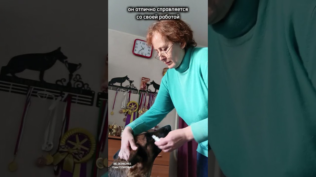 Заботься о ушах питомца вовремя! Арт.вб 263462461 Наш полезный тг-канал для владельцев 🐶🐱 vetolaru👈🏻