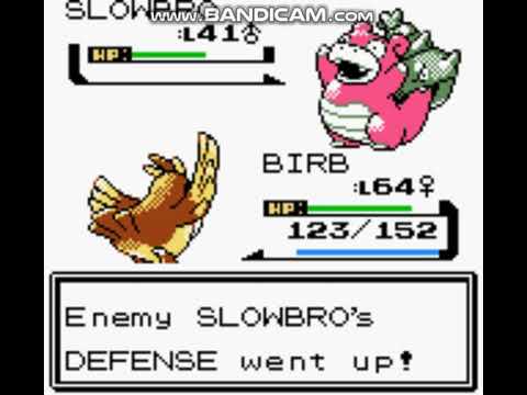 www bandicam com pokemon www bandicam com pokemon