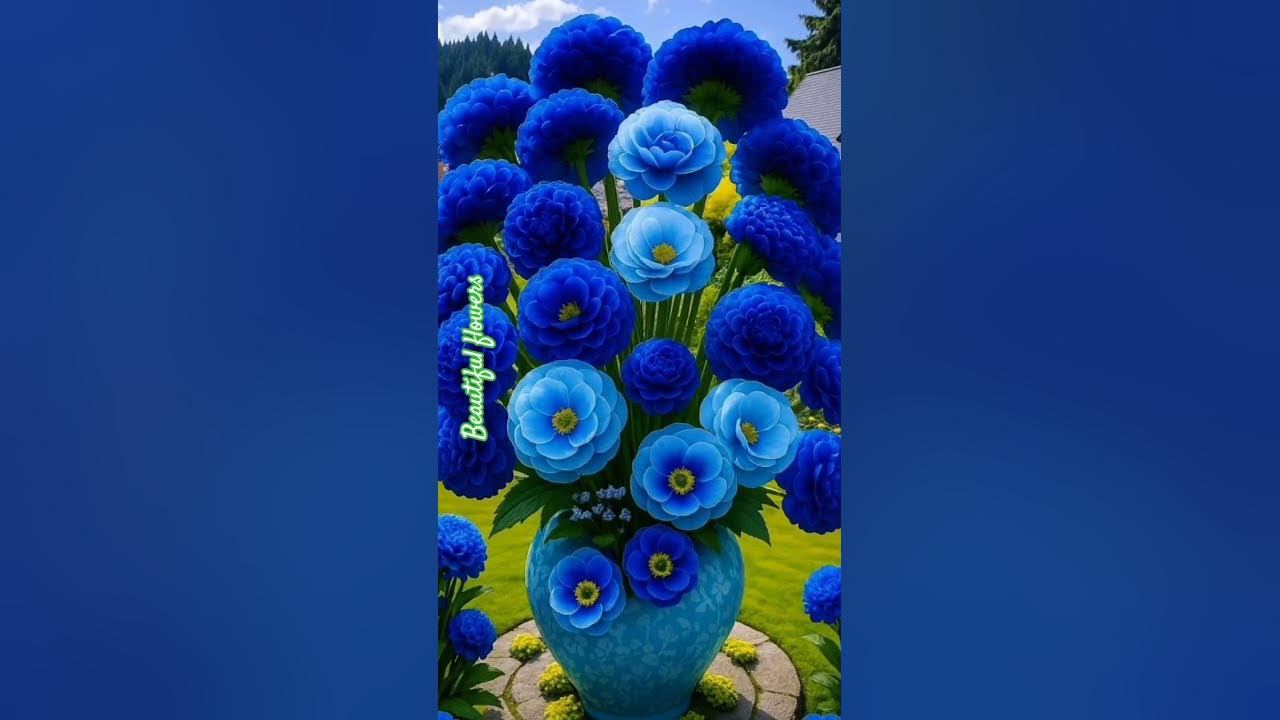 The most beautiful ποΈππΏ flowers inπ₯ππΏ the garden #whatsappstatus #trendingshorts ππΊπ₯#youtubeshorts The most beautiful ποΈππΏ flowers inπ₯ππΏ the garden #whatsappstatus #trendingshorts ππΊπ₯#youtubeshorts