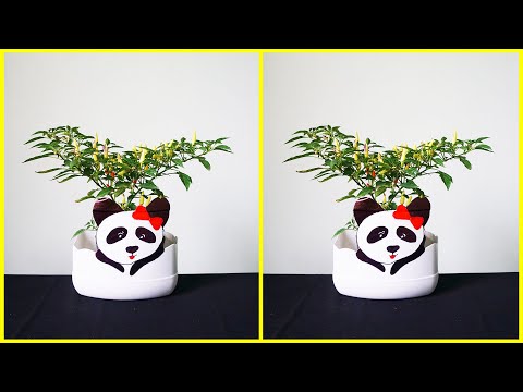 Ideas Recycle Plastic / Tái Chế Can Nhựa Thành Chiếc Chậu Hoa Hình Con Gấu Trúc Cực Đẹp !