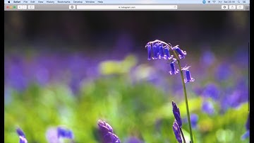 How to Post Photos to Instagram From Your MacBook