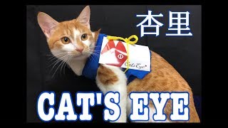 「キャッツ♥アイ」Deai - CAT'S EYE (杏里　カバー　歌詞付き）